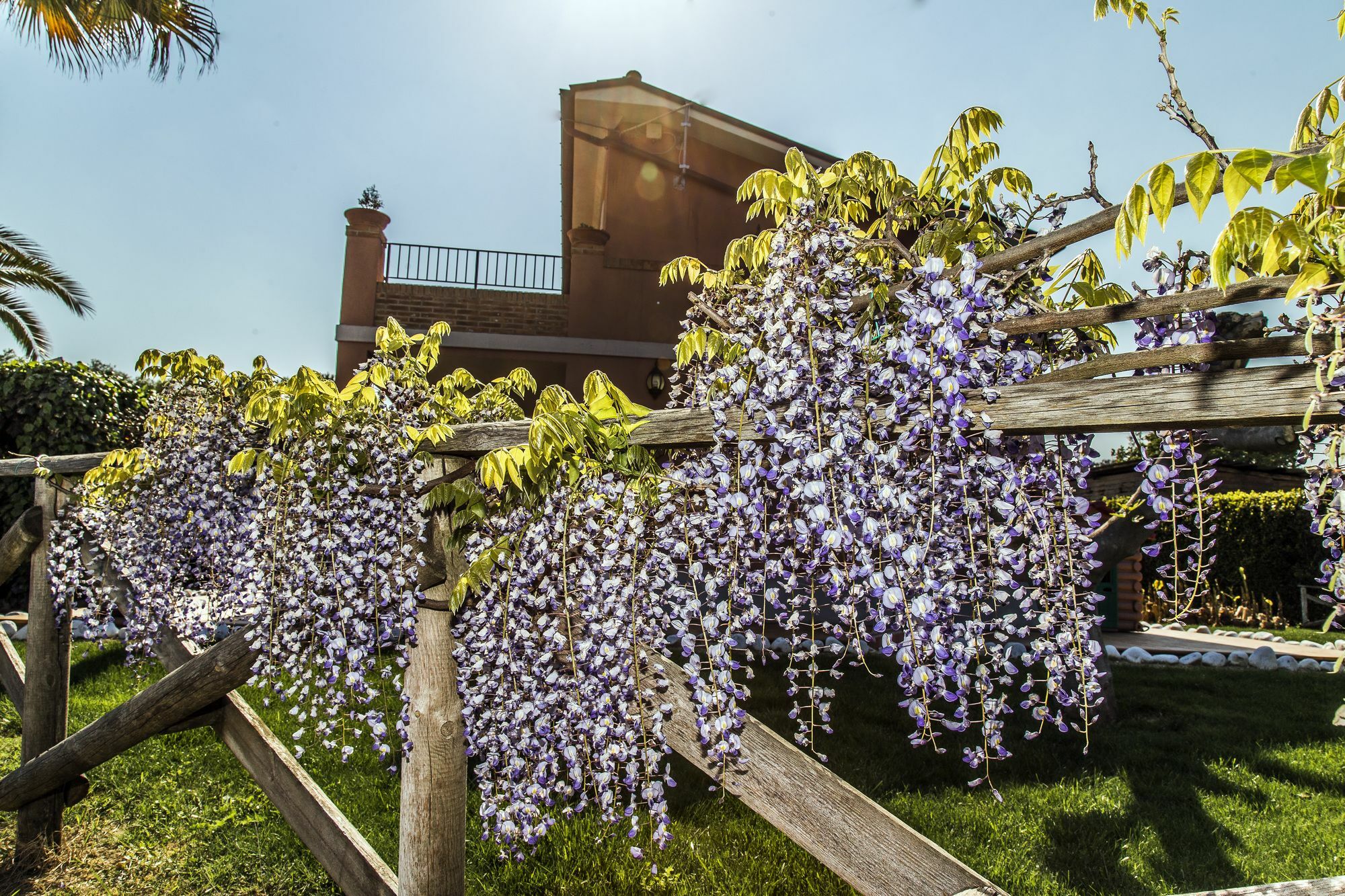 Agriturismo B&B Le Gazze Porto San Giorgio Esterno foto